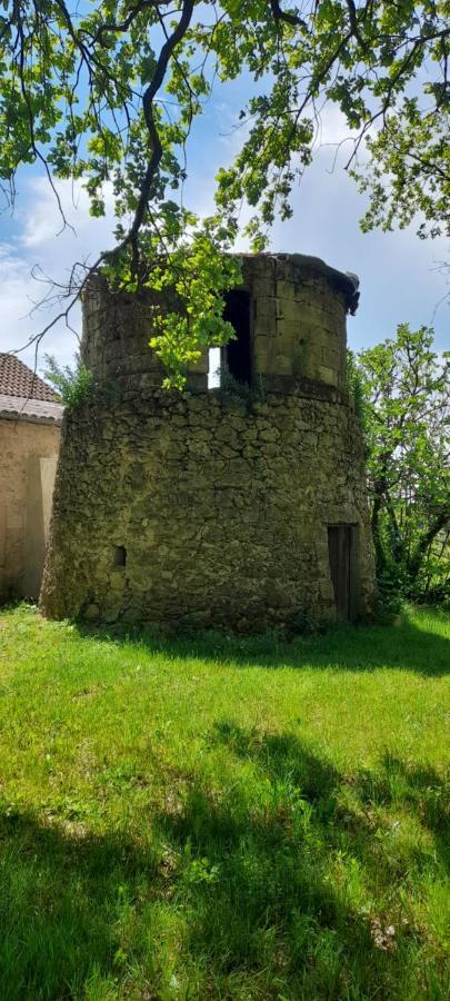 Moulin De Bigorre Villa Saint-Genès-de-Castillon Dış mekan fotoğraf